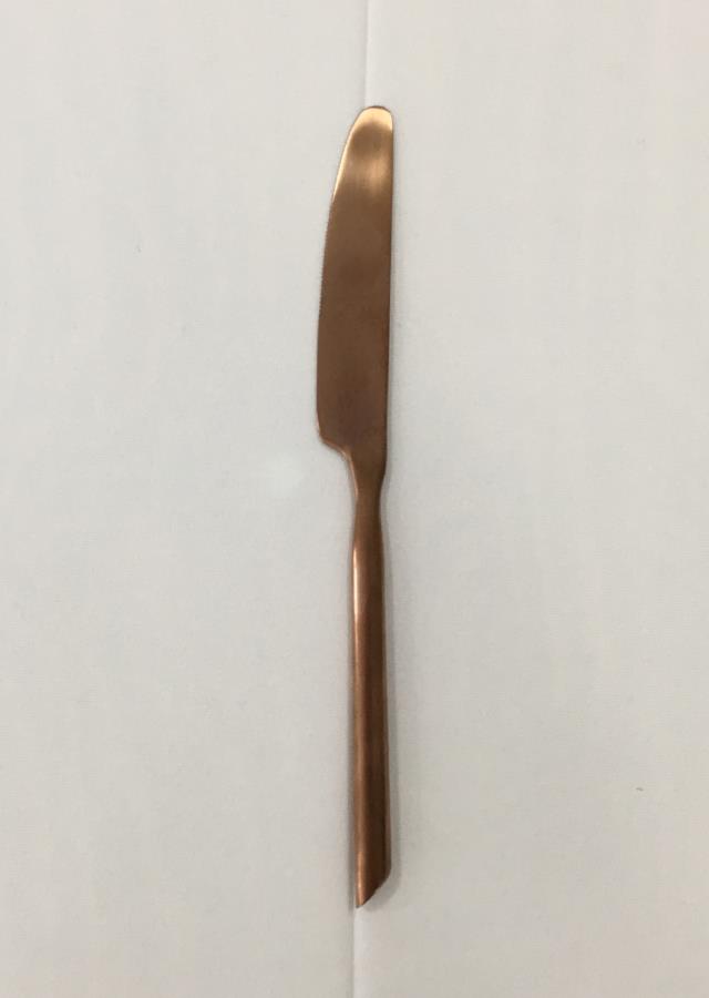 Rental store for KNIFE, DINNER COPPER in Lexington KY