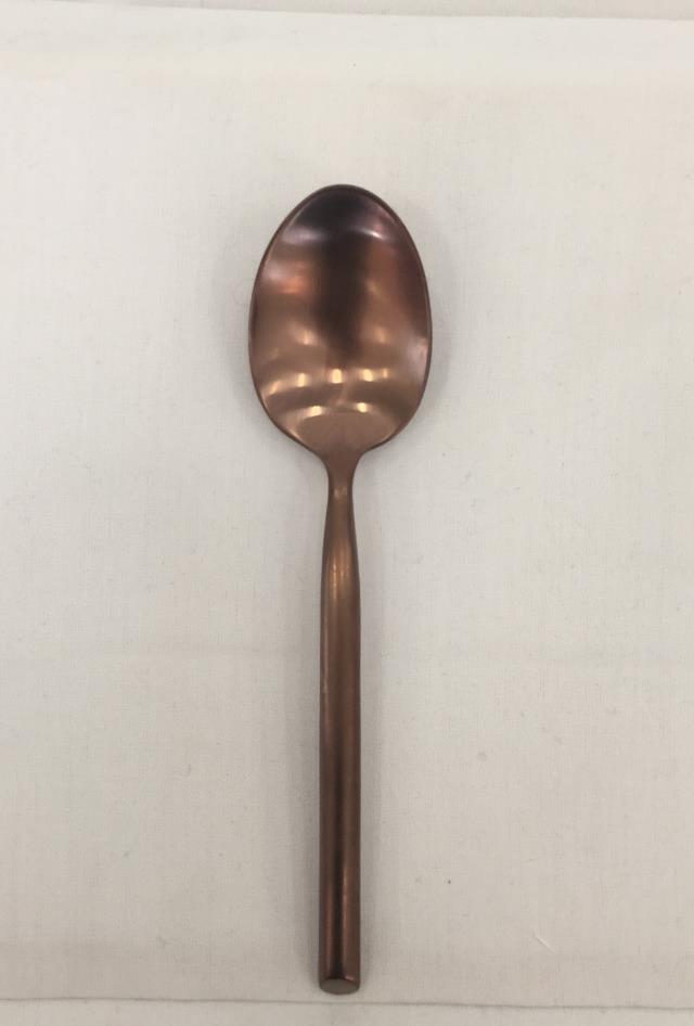 Rental store for SPOON, SOUP COPPER in Lexington KY
