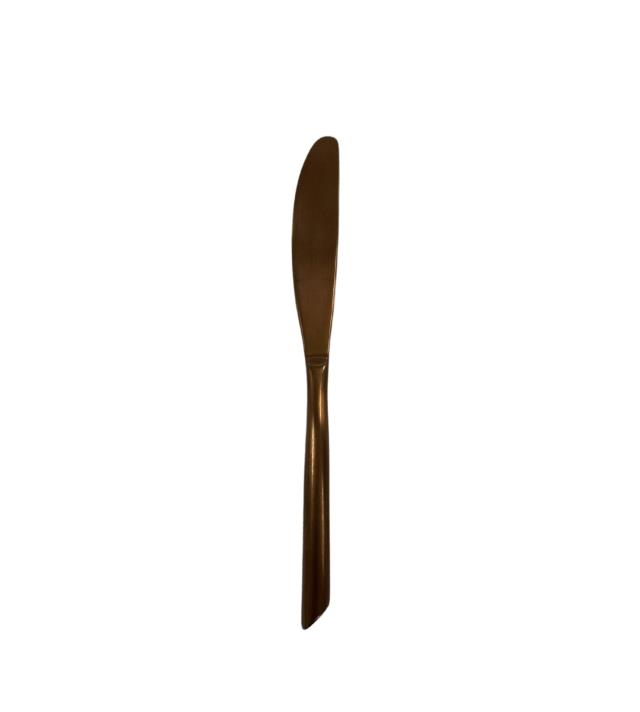 Rental store for KNIFE, BUTTER COPPER in Lexington KY