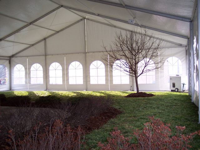 Rental store for TENT, STRUCTURE P8 40X20 in Lexington KY